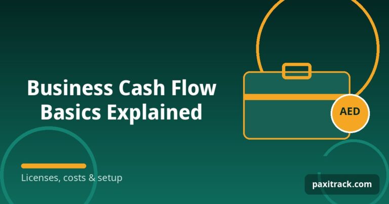 Business Cash Flow Basics Explained