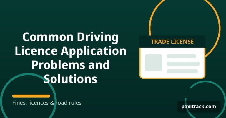 Common Driving Licence Application Problems and Solutions