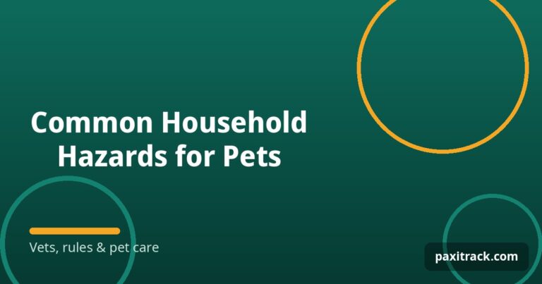 Common Household Hazards for Pets