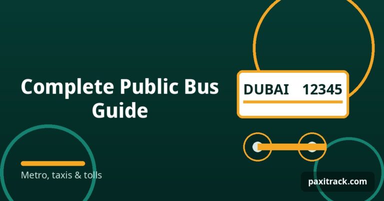 Complete Public Bus Guide