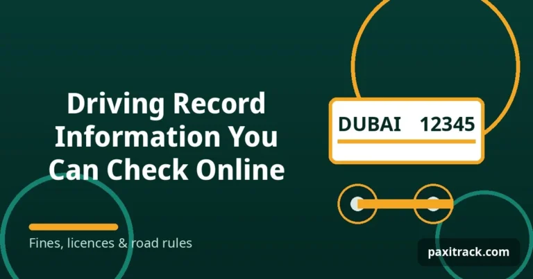 Driving Record Information You Can Check Online