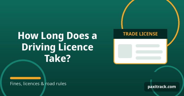 How Long Does a Driving Licence Take?