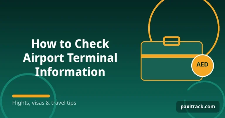 How to Check Airport Terminal Information