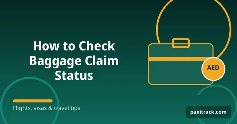 How to Check Baggage Claim Status