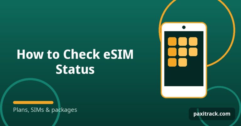 How to Check eSIM Status
