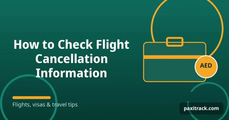 How to Check Flight Cancellation Information