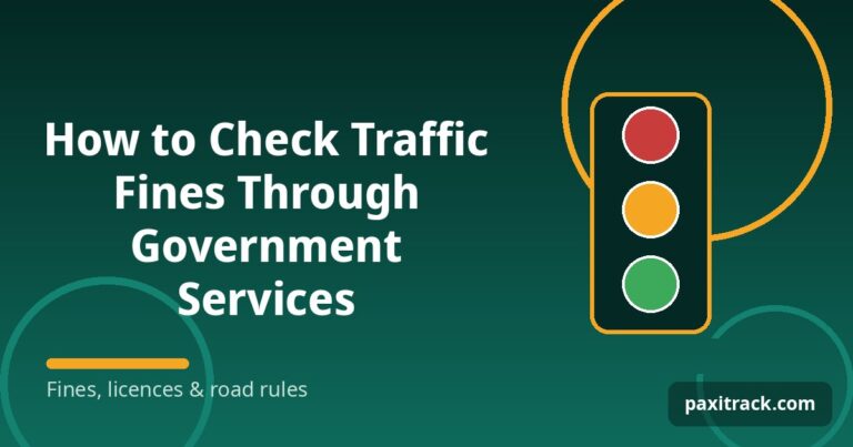How to Check Traffic Fines Through Government Services