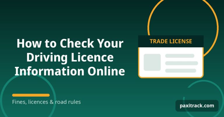 How to Check Your Driving Licence Information Online