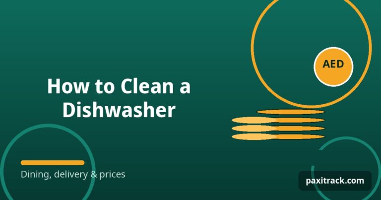 How to Clean a Dishwasher