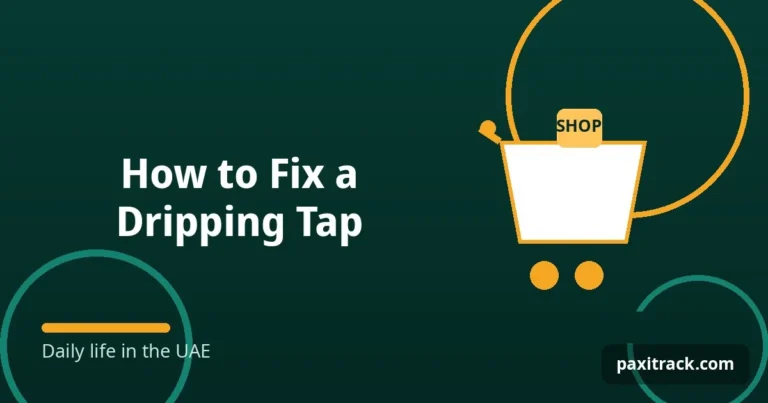How to Fix a Dripping Tap