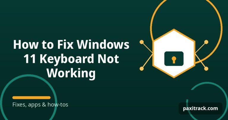 How to Fix Windows 11 Keyboard Not Working