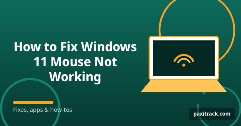 How to Fix Windows 11 Mouse Not Working