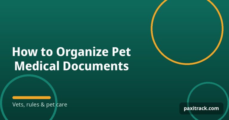 How to Organize Pet Medical Documents