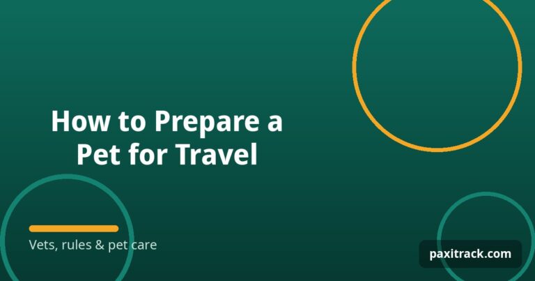 How to Prepare a Pet for Travel