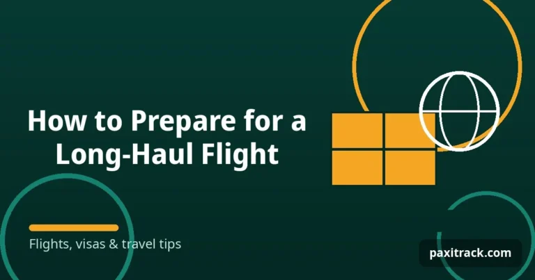 How to Prepare for a Long-Haul Flight