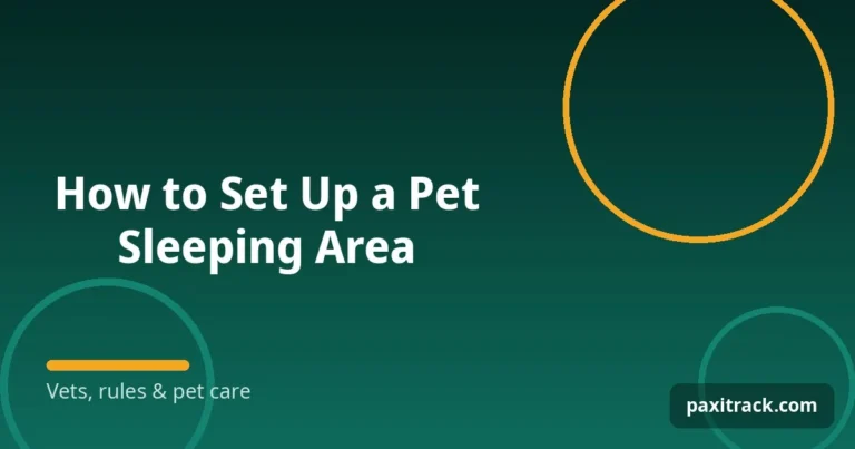 How to Set Up a Pet Sleeping Area