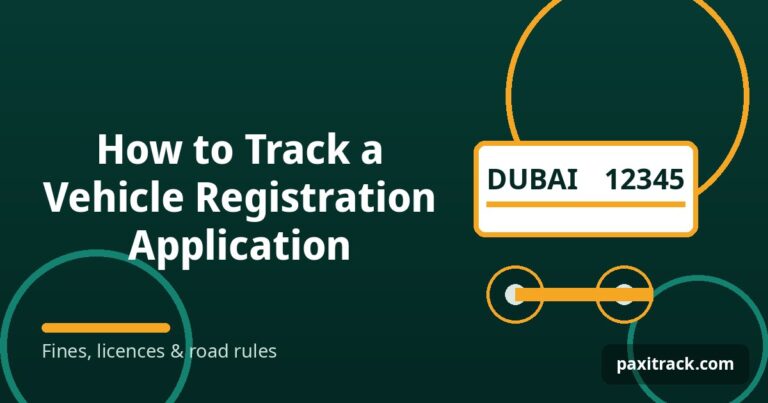 How to Track a Vehicle Registration Application