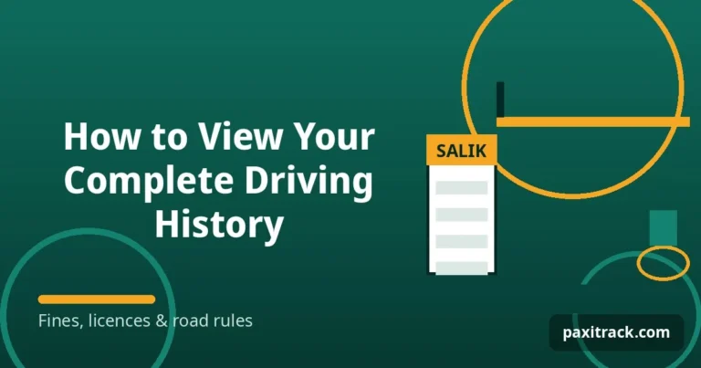 How to View Your Complete Driving History