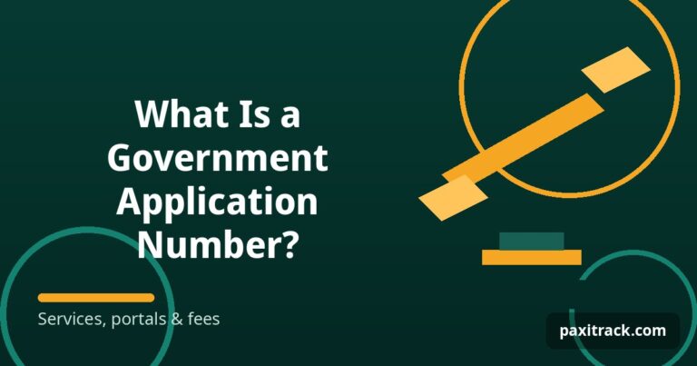 What Is a Government Application Number?