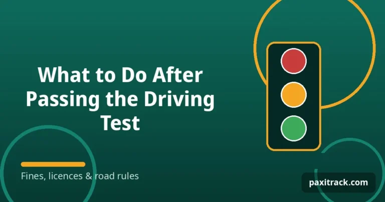 What to Do After Passing the Driving Test