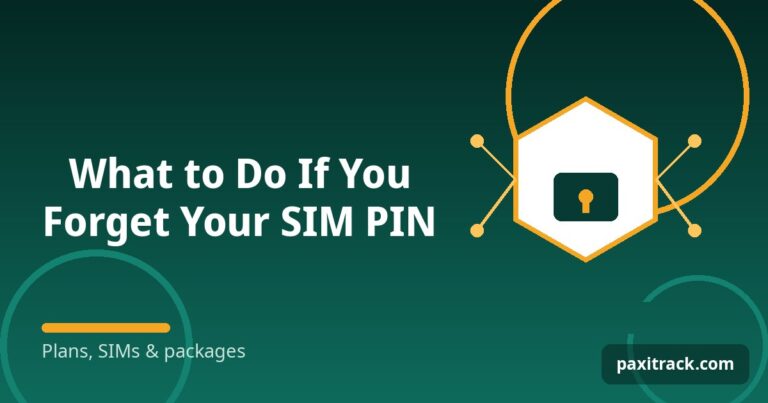 What to Do If You Forget Your SIM PIN